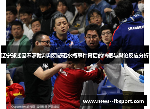 辽宁球迷因不满裁判判罚怒砸水瓶事件背后的情感与舆论反应分析